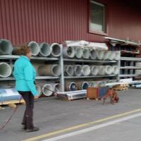 IMG-20190217-WA0043